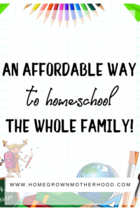 An Affordable Way To Homeschool The Whole Family with Schoolhouse Teachers