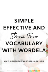 Vocabulary With Wordela