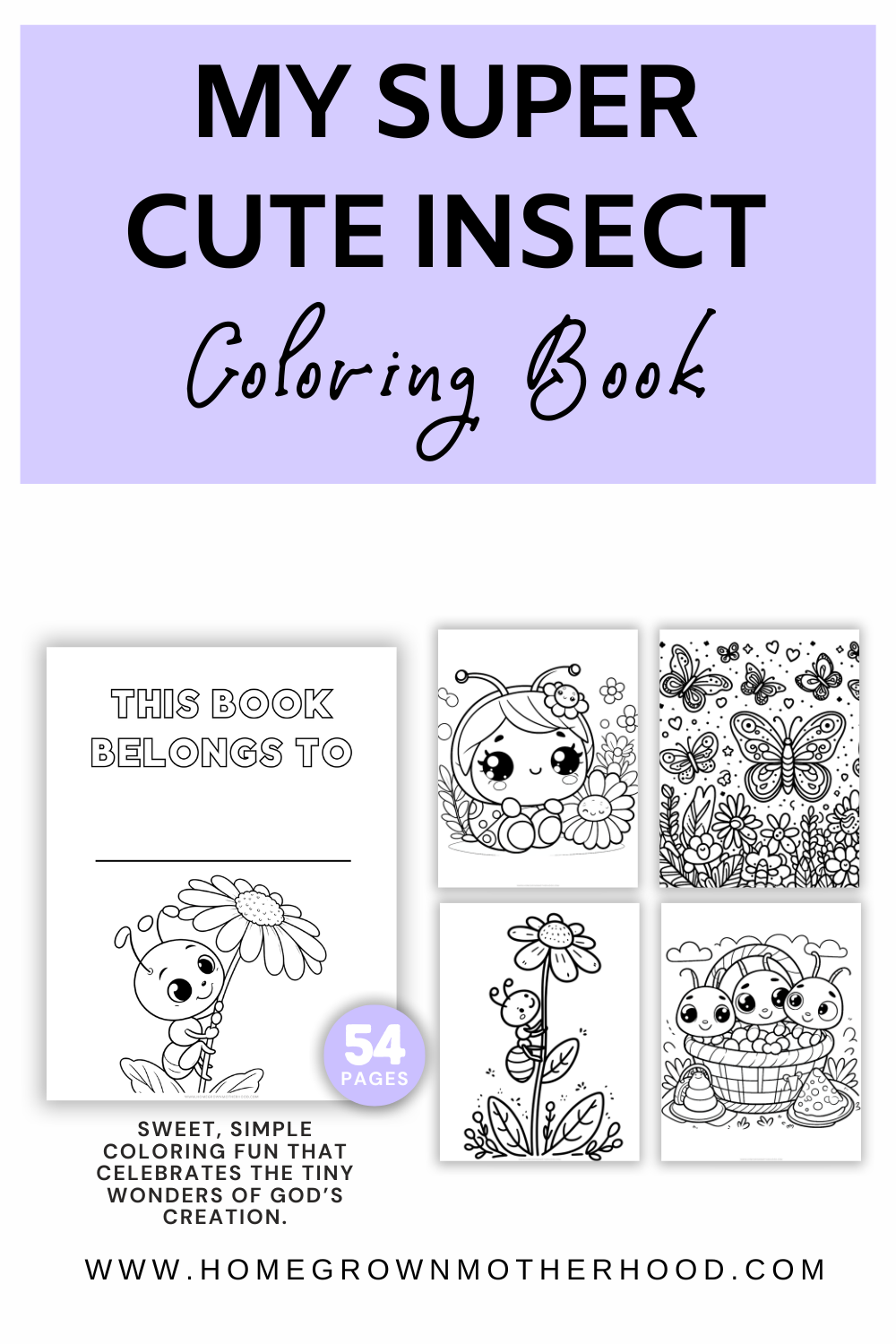 Simple Insect Coloring My Super Cute Insect Coloring Book