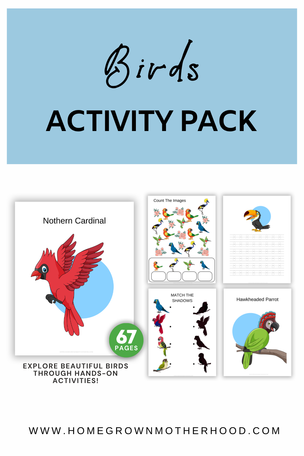 Birds Activity Pack