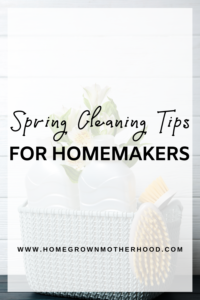 Spring Cleaning Tips For Homemakers