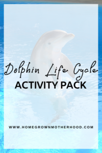 Dolphin Life Cycle Activity Pack