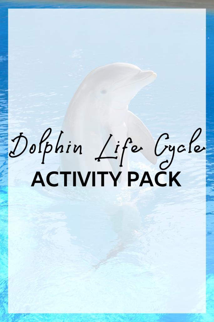 Dolphin Life Cycle Activity Pack fi