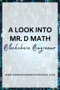 A Look Into Mr. D Math Blockchain Beginner