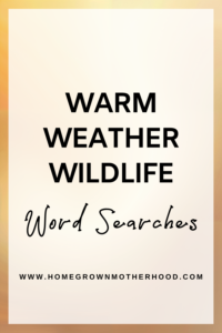 Warm Weather Wildlife Word Searches