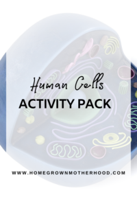 Human Cells Activity Pack