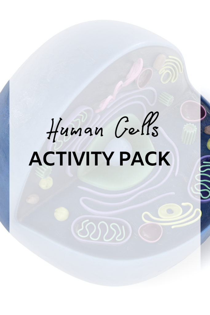 Human Cells Activity Pack FI